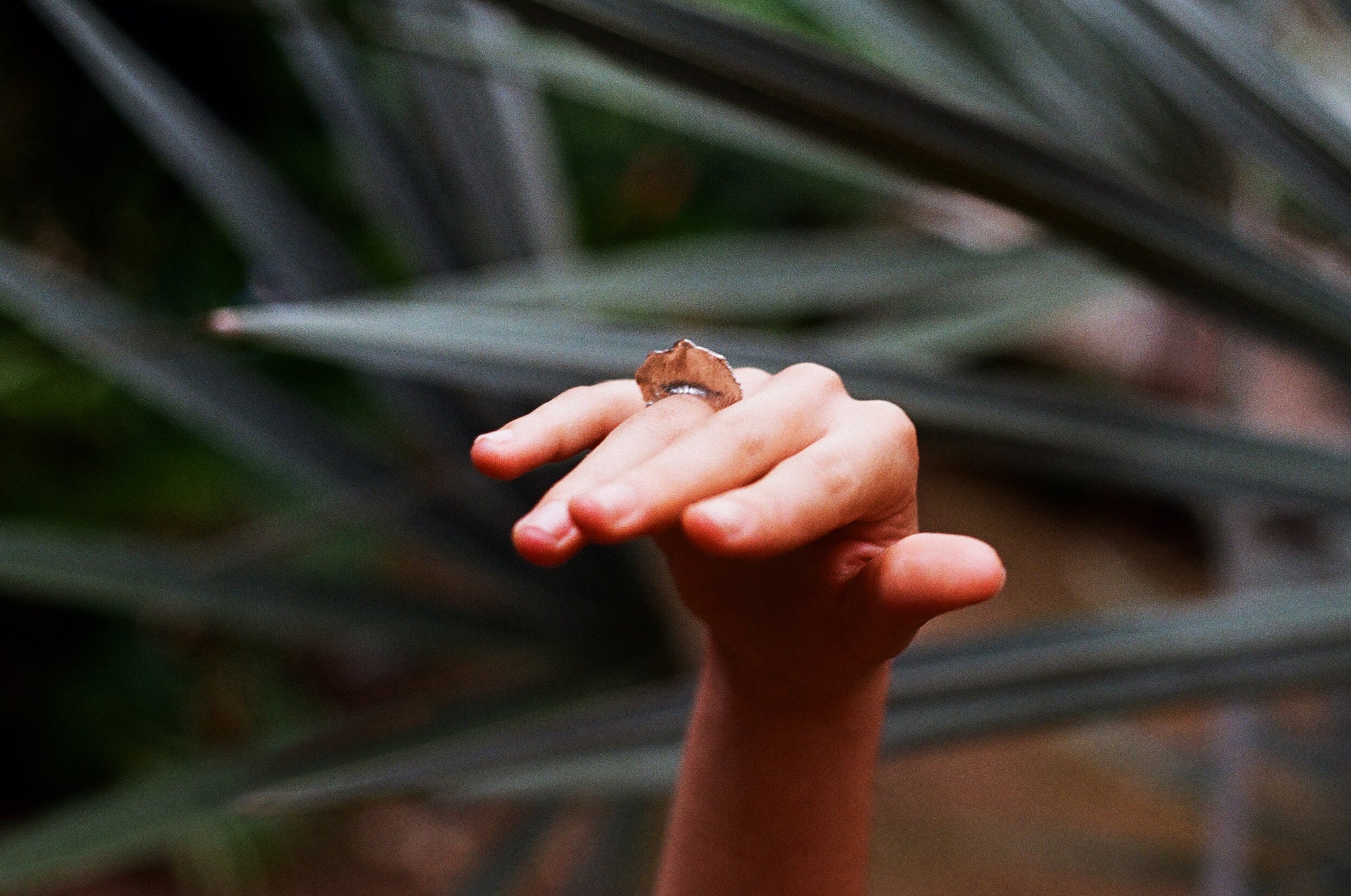 Anillo Flor