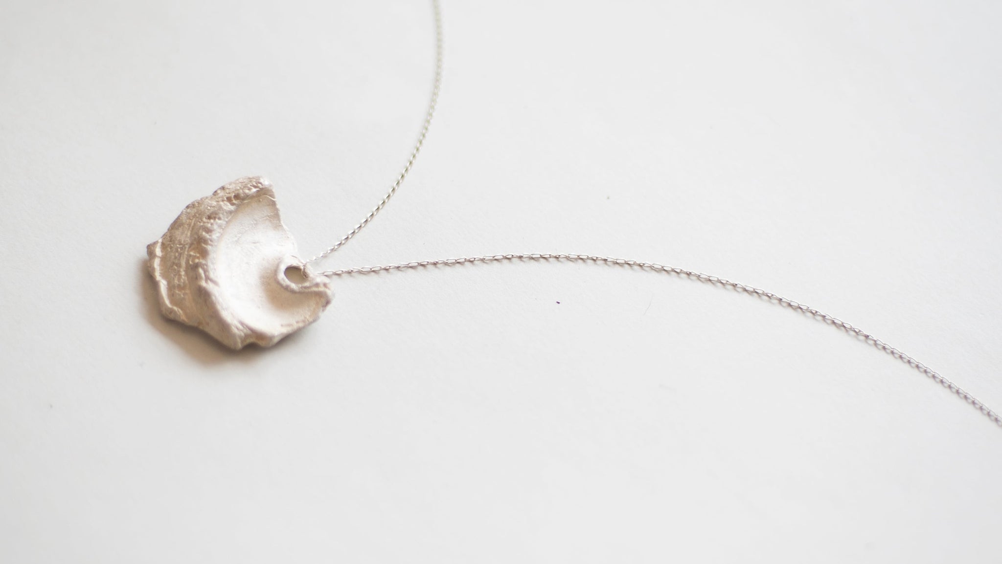 Collar Fósil