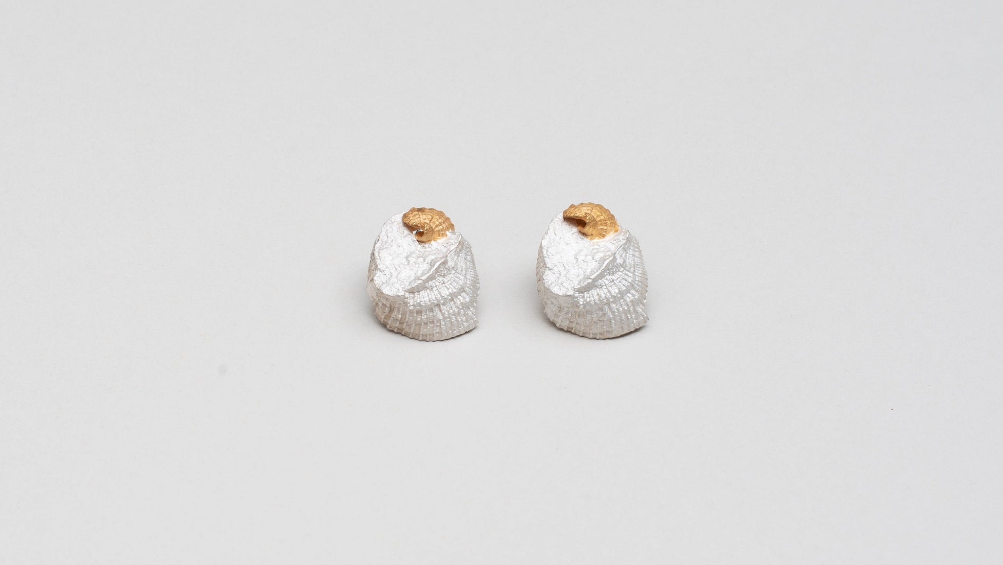 Aretes Conchas Compuestas