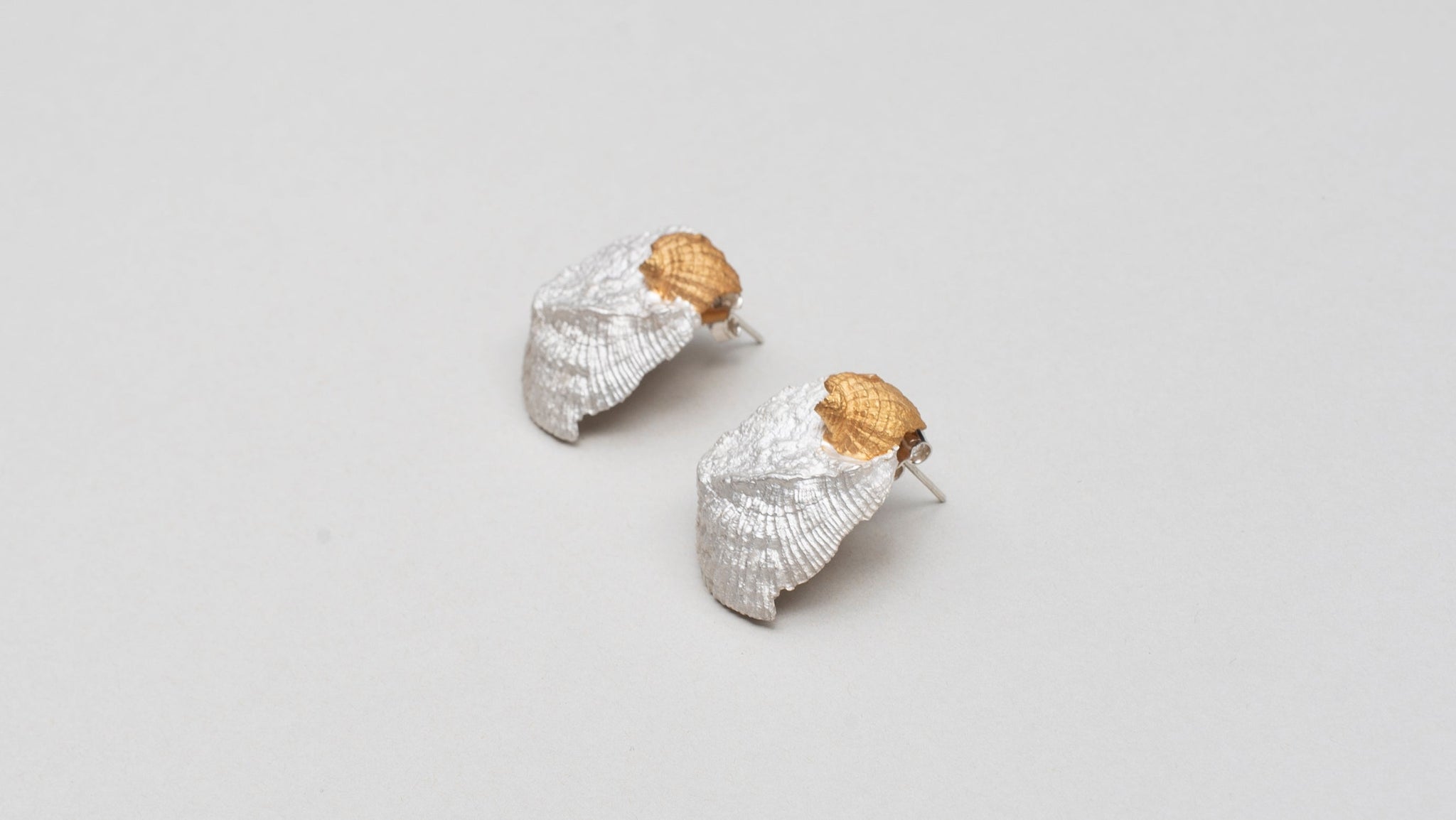 Aretes Conchas Compuestas