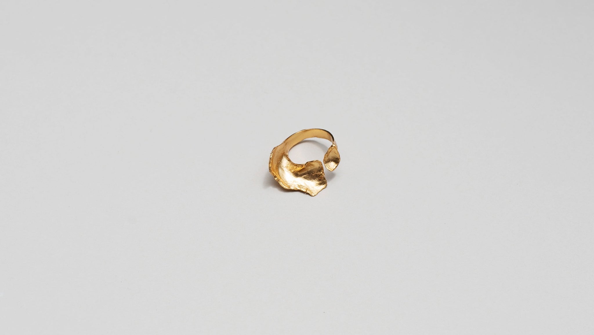 Anillo Concha Rota