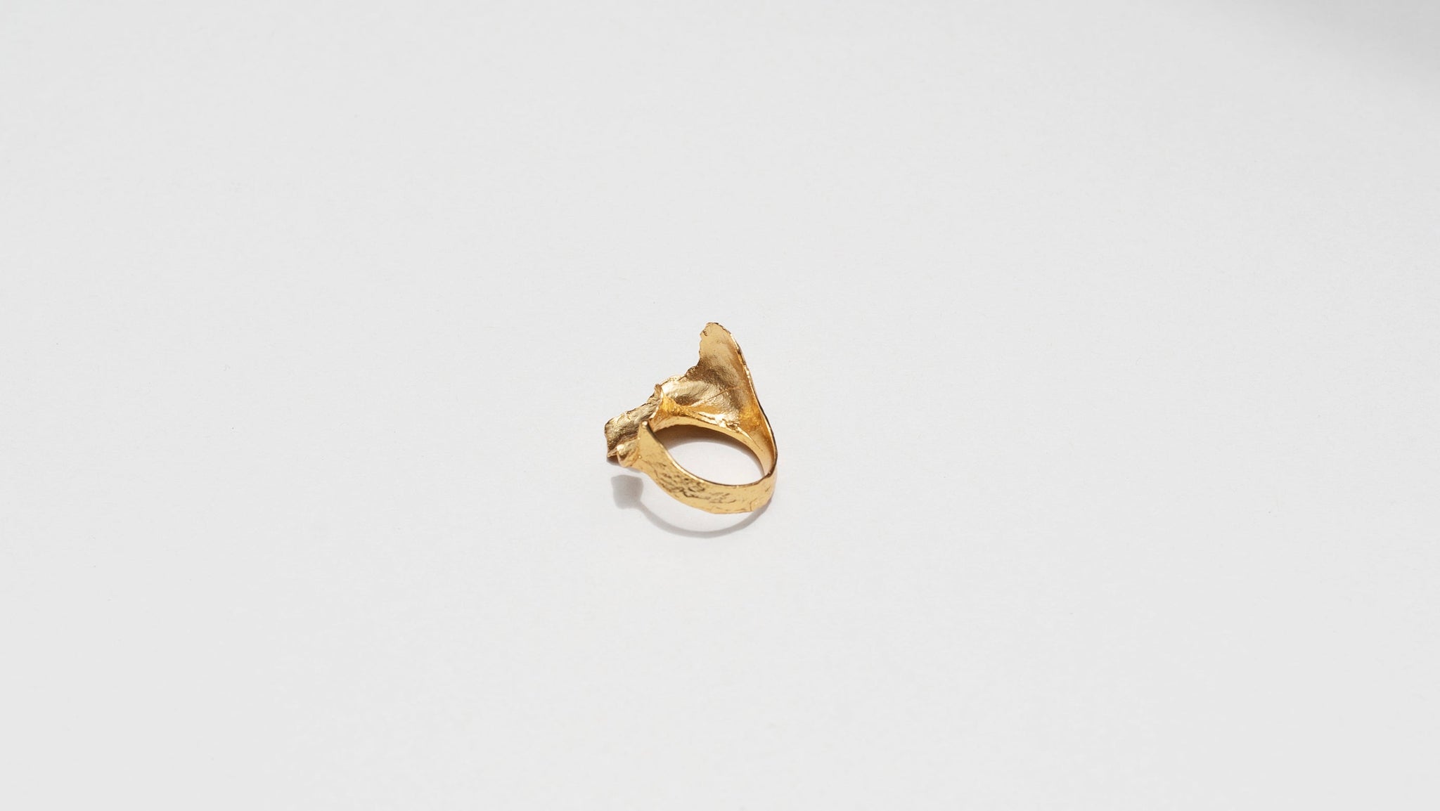 Anillo Concha Rota