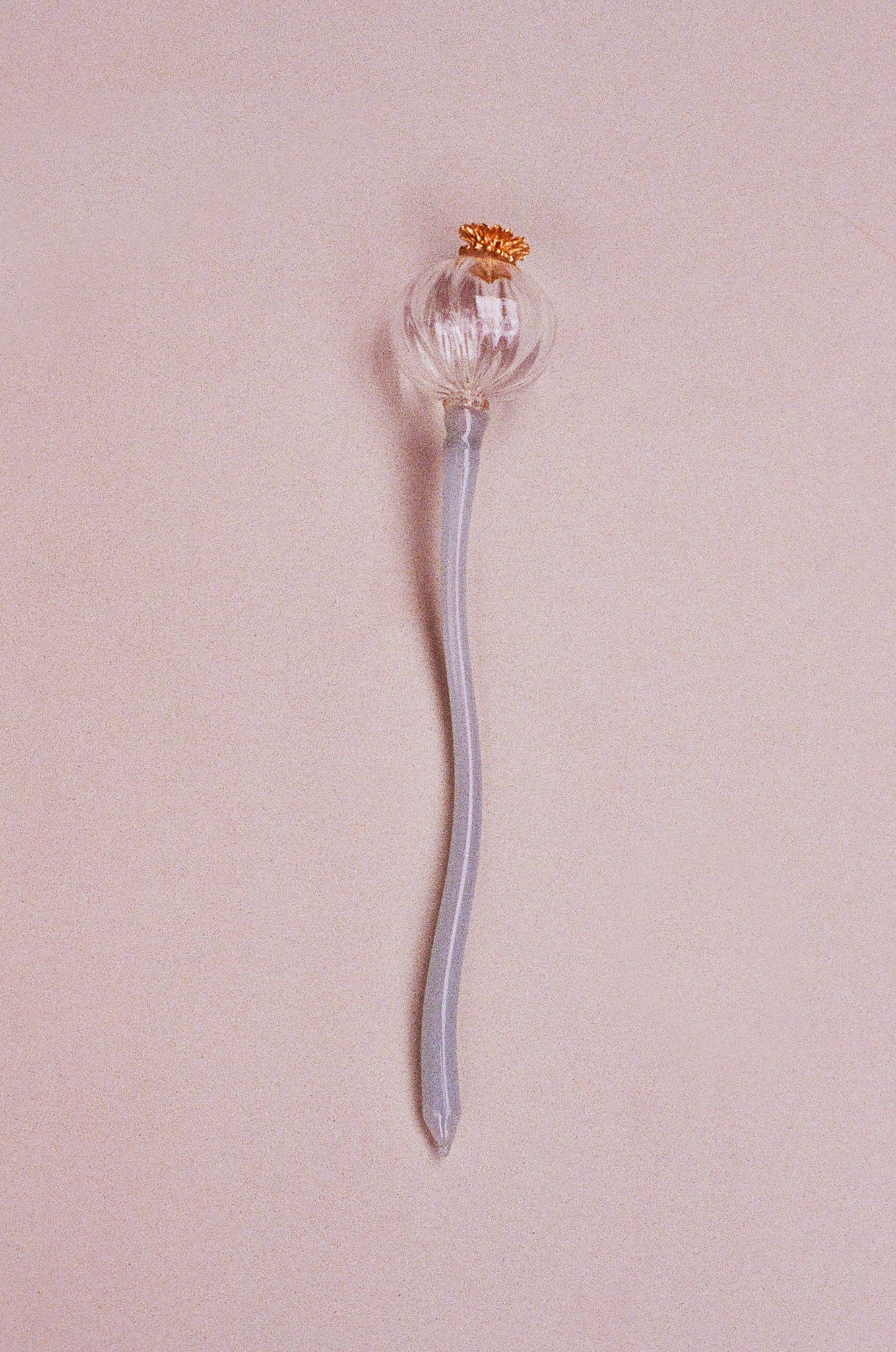 Amapola